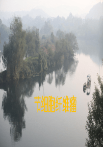 节细胞神经纤维瘤