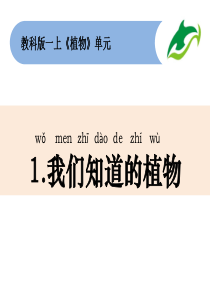 一上1-1《我们知道的植物》