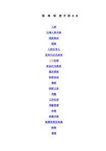 深圳市银雁金融配套服务有限公司规章制度手册--zhaoruitao