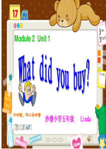 What-did-you-buy课件