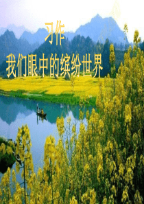 《习作五----我们眼中的缤纷世界》PPT课件