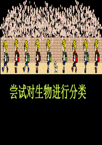 生物：第六单元第一章第一节尝试对生物进行分类课件(人教新课标八年级上)