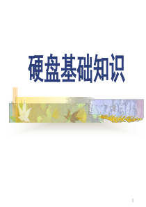 硬盘基础知识.PPT