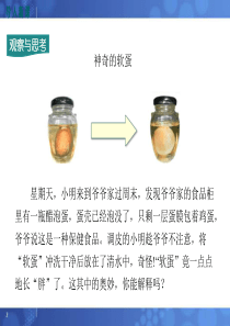 教科版九年级物理全