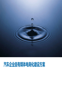 汽车集团电商平台建设方案--ppt课件