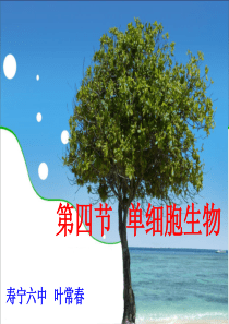 第四节单细胞生物