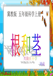 《根和茎》课件