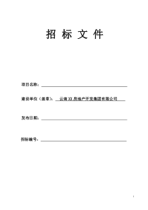 XX项目规划设计招标文件(实用范本)