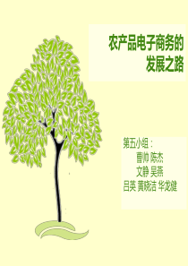 农产品电子商务的简介