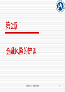第2章-金融风险辨识