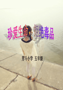 禁毒防毒主题班会课件