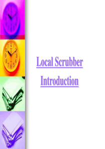 Local-Scrubber-Introduction-10.27