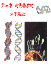 第三章-遗传物质的分子基础