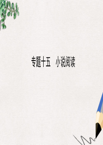 【推荐】中考语文专题复习十五小说阅读公开课课件0