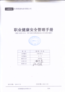 职业健康安全管理手册（PDF31页）