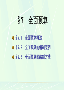 7.全面预算