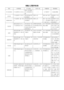 销售人员晋升标准