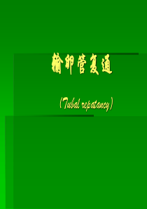 输卵管复通PPT课件