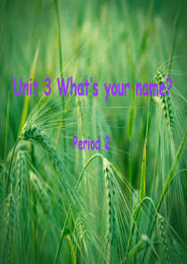 Unit3-What’s-your-name课件1-(新版)湘少版课件