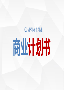 商务多彩营销策划公司介绍商业计划书PPT模板