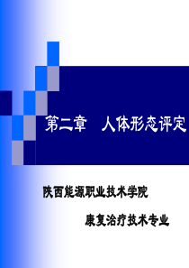 人体形态评定-完整版.