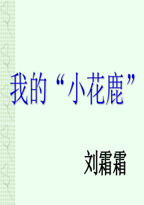 聋哑学校——我的“小花鹿”课件