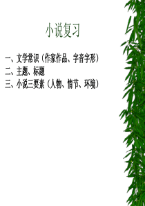 《祝福》学业考试一轮复习课件ppt