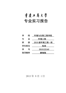 环境工程专业实习报告(DOC)