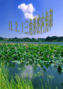 11.2.1三角形的内角1