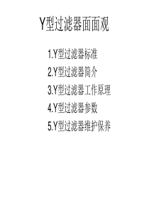 Y型过滤器标准
