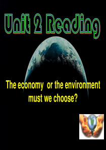 译林高二英语精源课件：必修5-Unit2-Reading-The-economy-or-the-en