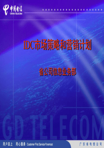 IDC市场策略及营销计划