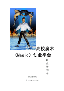 魔术店创业计划书