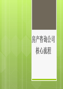 (管理资料)房产咨询公司核心流程