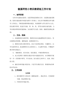 小学常识教研组工作计划