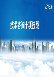 09技术咨询十项技能
