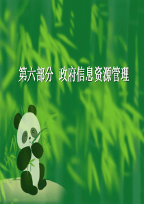 政府信息资源管理