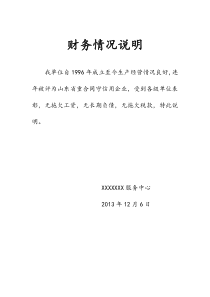 投标用财务情况说明