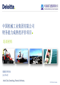 财务成熟度评估