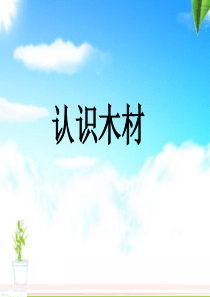 认识木材