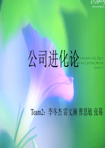 3M文化公司进化论