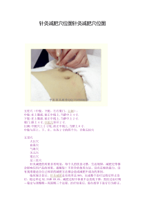 针灸减肥穴位图针灸减肥穴位图