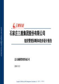 1三鹿集团组织管理诊断及初步设计报告(1)