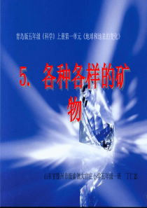 5.各种各样的矿物