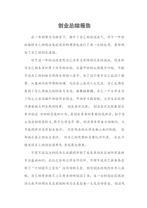 创业总结报告