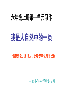 六年级上册第一单元习作ppt