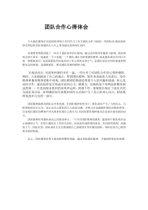 团队合作心得体会