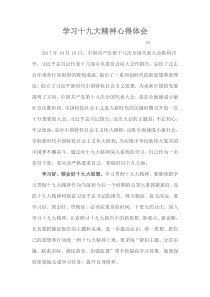 十九大心得体会(doc文档免费下载)