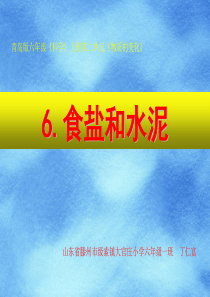 六上6.食盐和水泥