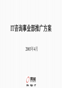 IT咨询事业部推广方案
